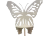 Butterfly Chair rental in Westchester, NY