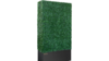 Small 3D Greenery Wall rental in Phoenix, AZ