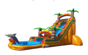 24 ft Dolphin Splash Water Slide rental Chicago, IL