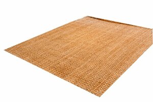 Phoenix Rug rental Austin, TX