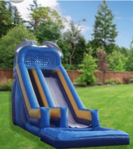 18ft Dolphin Waterslide rental Austin, TX