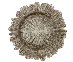 Reef Champagne Glass Charger rental Houston, TX