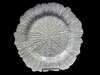 13" Silver Sponge Glass Charger rental in Philadelphia, PA