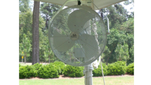 White Tent Fan rental Palm Beaches-Treasure Coast, FL