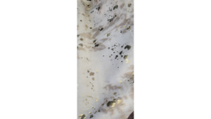 Gold Flecked Cowhide Rug  rental Denver, CO