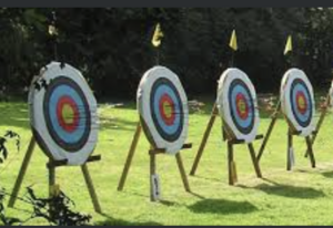 Archery (Soft Tipped Arrow) 2 Targets rental San Francisco-Oakland-San Jose, CA