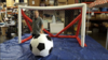 Big Shot Soccer rental in San Francisco-Oakland-San Jose, CA