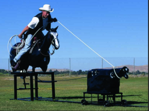 Rodeo Roper rental San Francisco-Oakland-San Jose, CA