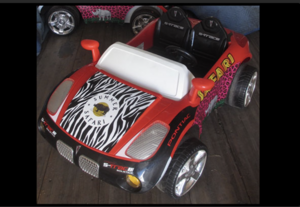 Junior Racers  rental San Francisco-Oakland-San Jose, CA
