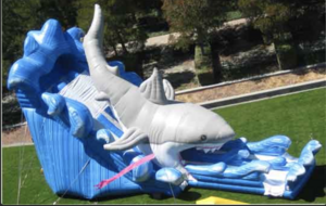 Shark Slide rental San Francisco-Oakland-San Jose, CA