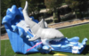 Shark Slide rental in San Francisco-Oakland-San Jose, CA