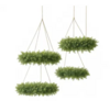 Greenery Chandelier rental in Phoenix, AZ