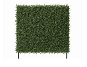 Greenery Backdrop rental Phoenix, AZ