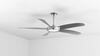 Ceiling Fan rental in Baltimore, MD