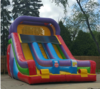 18' Wacky Dual Slide rental in Chicago, IL