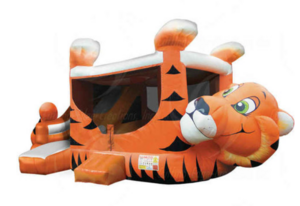 Tiger Belly Combo rental Chicago, IL