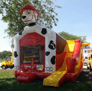 Dalmatian Combo rental Chicago, IL