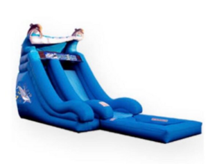 18' Dolphin Water Slide with Pool rental Chicago, IL