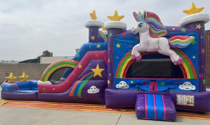 Dual Magical Unicorn Wet/Dry Combo rental Chicago, IL