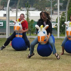 HIPPITY HOP HORSES  rental San Diego, CA