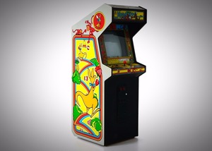 KANGAROO rental San Diego, CA