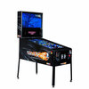PINBALL VIRTUAL PINBALL GAME rental in San Diego, CA