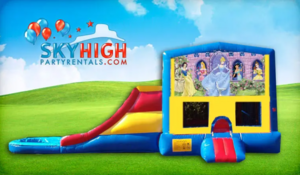 3in1 Disney Princess Dry or Wet Slide rental Austin, TX
