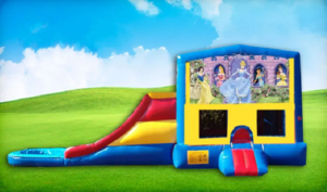 3in1 Disney Princess Dry or Wet Slide rental Austin, TX