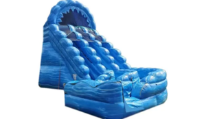 20ft Raging Rapids Dual Curve Slide rental Austin, TX