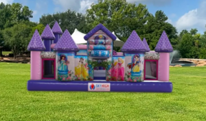 Disney Princess Toddler Palace rental Austin, TX