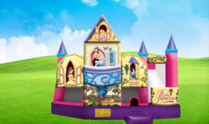 Disney Princess 5in1 w/ (Wet or Dry Slide) rental Austin, TX