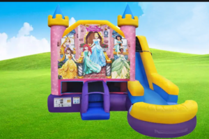 Disney Princess 6in1 W Slide rental Austin, TX