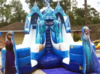Frozen Double (Dry or Wet/Water Slide) rental in Austin, TX