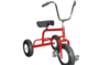Adult Tricycle Rental rental in Austin, TX