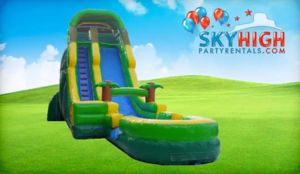 20ft Palm Tree Screamer Slide rental Austin, TX