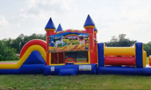 50ft Unicorn Obstacle rental Austin, TX