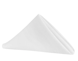 Polyester Napkins rental Miami-Ft. Lauderdale, FL