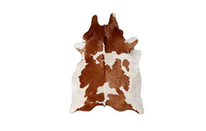 Cowhide Rug rental San Antonio, TX