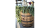 Whiskey Barrel rental in Southern Utah, UT