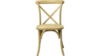 Sonoma Chair Tinted Raw rental in New York, NY