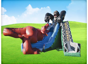 Kongo Crazy T-Rex Double Slide rental Dallas-Ft. Worth, TX