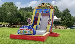 Mickey Mouse Slide (Dry/Wet) with Pool rental Dallas-Ft. Worth, TX