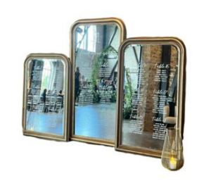 Brandi Mirror (medium) rental Houston, TX