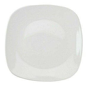 White Fusion Dinner 10" (set Of 10) rental New York, NY