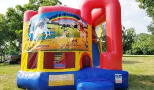 4in1 Unicorn Combo w/ (Dry or Wet/Water Slide) rental Dallas-Ft. Worth, TX