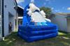 20ft Raging Rapids Dual Curve Slide rental in Houston, TX