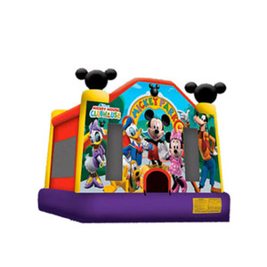 Mickey Mouse Park & Friends rental Houston, TX