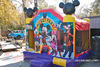 Mickey Mouse Park & Friends rental in Houston, TX