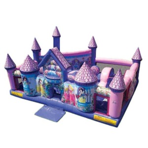 Disney Princess Toddler Palace rental Houston, TX