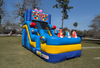 20ft Birthday Surprise Water Slide rental in Houston, TX